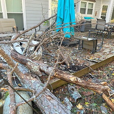 Storm-Damaged-Pine-Removal-in-Silver-Ridge-Subdivision 5